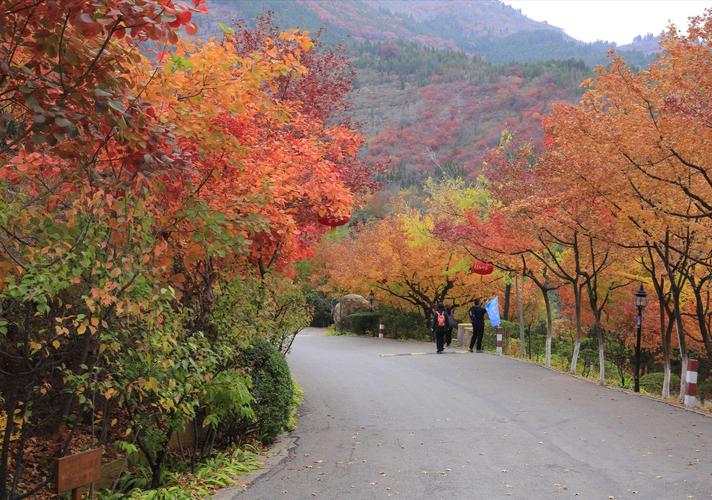 济南九如山和红叶谷哪个好玩-济南九如山和红叶谷哪个好玩一点